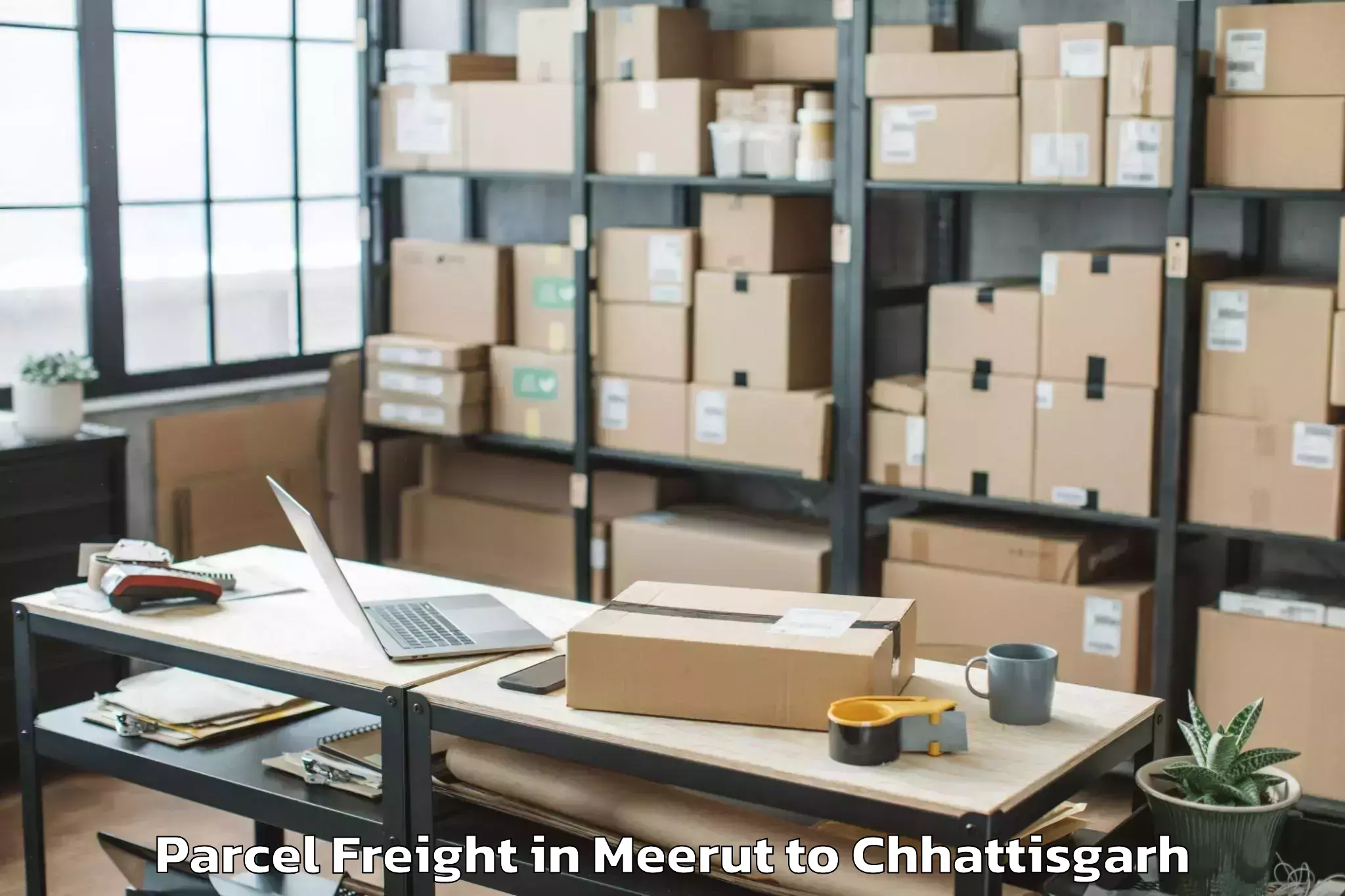 Meerut to Op Jindal University Raigarh Parcel Freight Booking